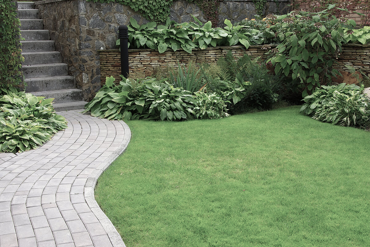 Welcome to A&S Landscaping